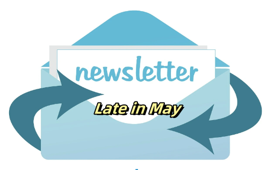 Hot Display New Product Recommendations for Late May 2024