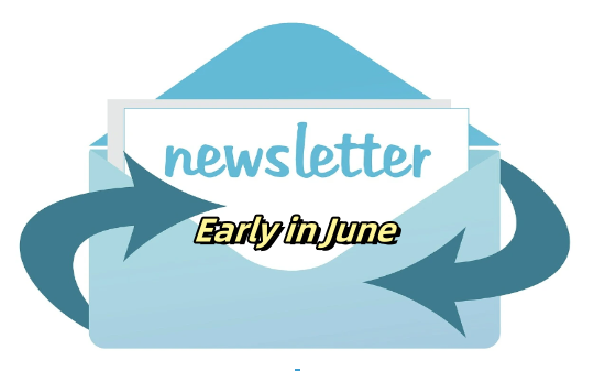 Hot Display New product recommendations for early June 2024